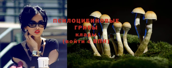 амф Арсеньев