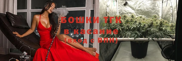 не бодяженный Надым